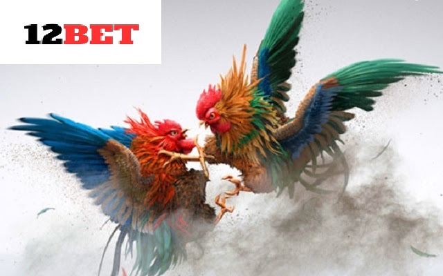 Cách phân định thắng thua Đá Gà Thomo 12bet